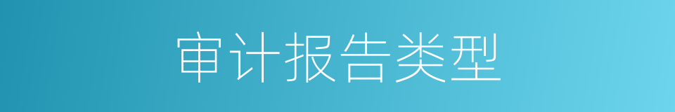 审计报告类型的同义词