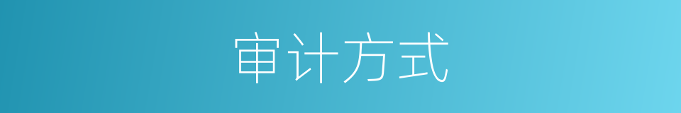 审计方式的同义词