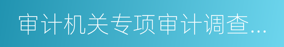 审计机关专项审计调查准则的同义词