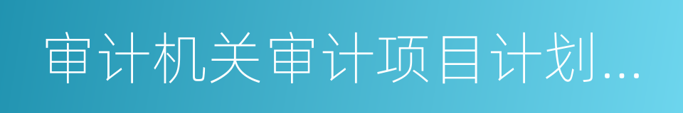 审计机关审计项目计划管理办法的同义词