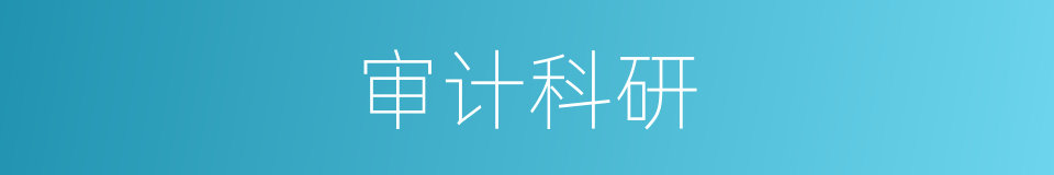 审计科研的同义词