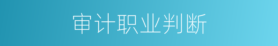 审计职业判断的同义词