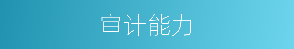 审计能力的同义词