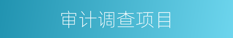 审计调查项目的同义词