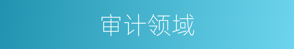 审计领域的同义词