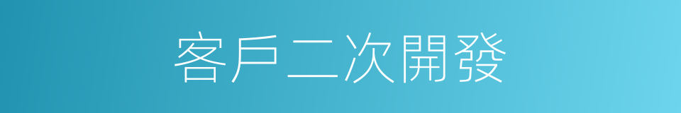 客戶二次開發的同義詞
