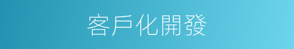 客戶化開發的同義詞