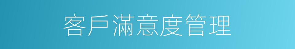 客戶滿意度管理的同義詞