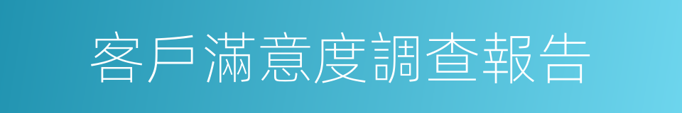 客戶滿意度調查報告的同義詞