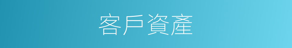 客戶資產的同義詞