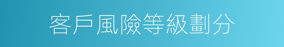 客戶風險等級劃分的同義詞