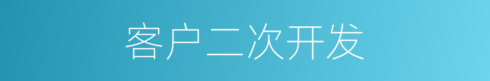客户二次开发的同义词