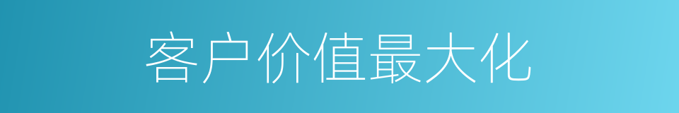 客户价值最大化的同义词