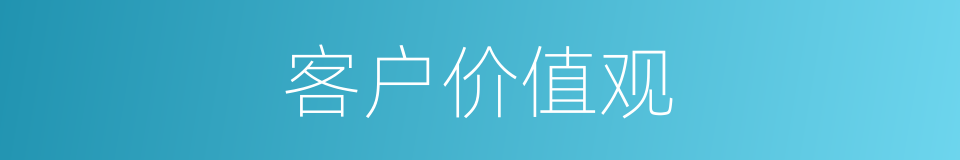 客户价值观的同义词
