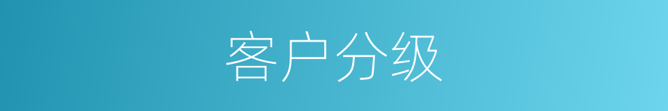 客户分级的同义词