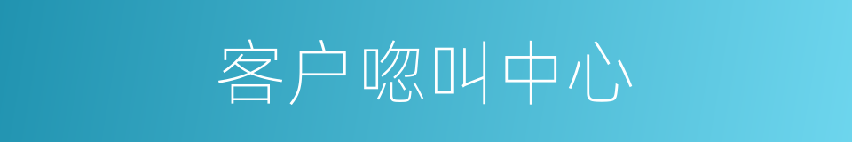 客户唿叫中心的同義詞