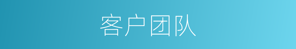 客户团队的同义词