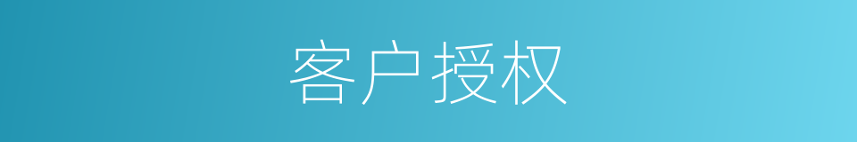 客户授权的同义词