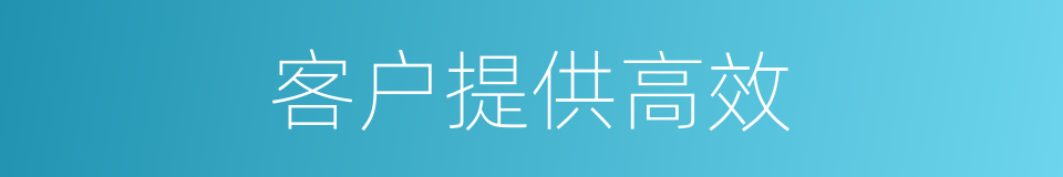 客户提供高效的同义词