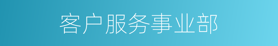 客户服务事业部的同义词