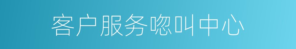 客户服务唿叫中心的同義詞