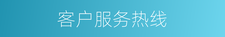 客户服务热线的同义词