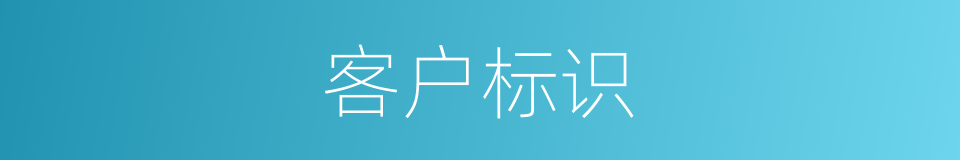 客户标识的同义词