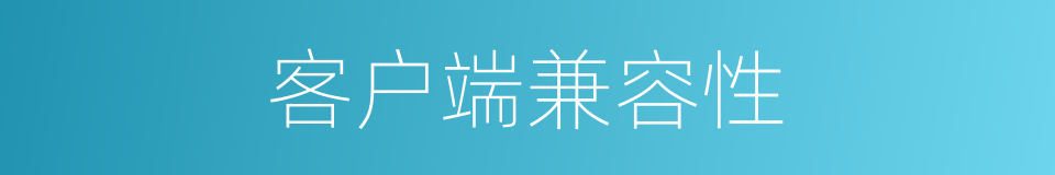 客户端兼容性的同义词