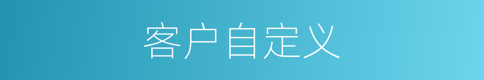 客户自定义的同义词