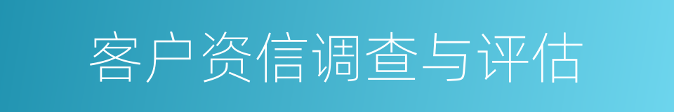 客户资信调查与评估的同义词