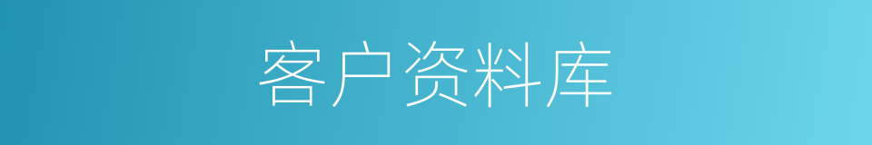 客户资料库的同义词