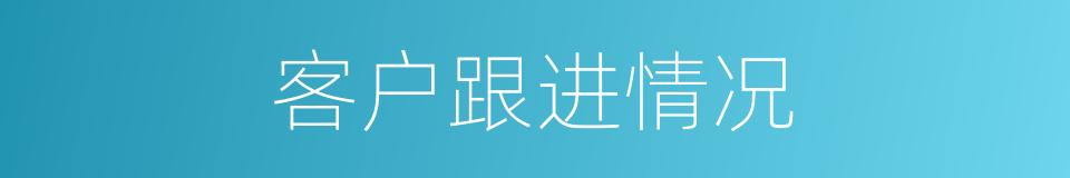 客户跟进情况的同义词