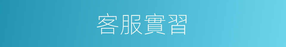 客服實習的同義詞