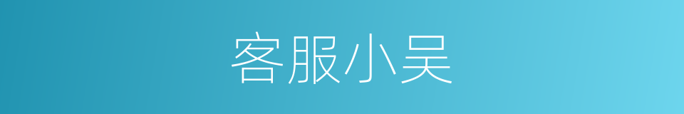 客服小吴的同义词