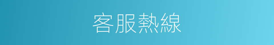 客服熱線的同義詞