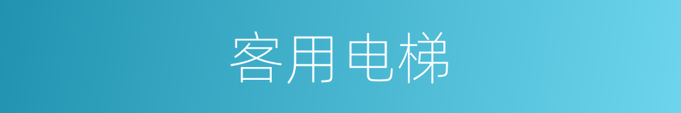 客用电梯的同义词