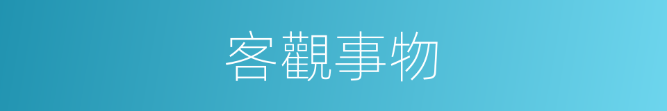 客觀事物的意思