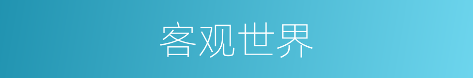 客观世界的同义词