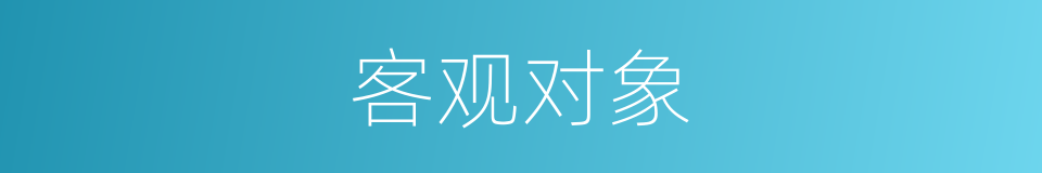 客观对象的同义词