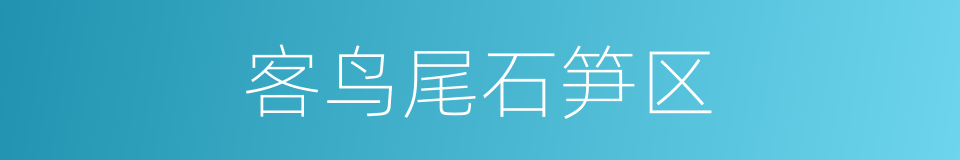 客鸟尾石笋区的同义词