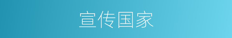 宣传国家的同义词