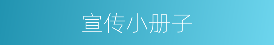 宣传小册子的同义词