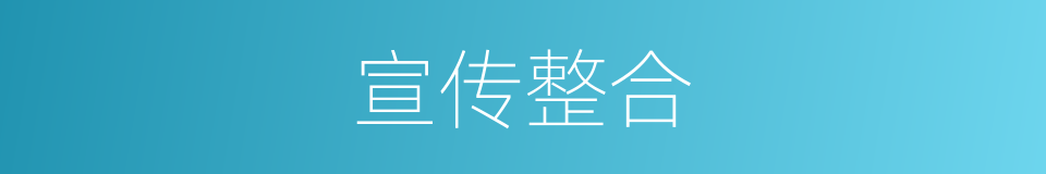 宣传整合的同义词