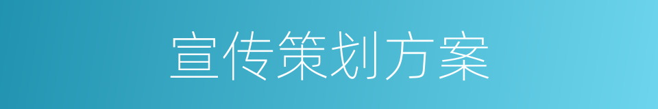 宣传策划方案的同义词
