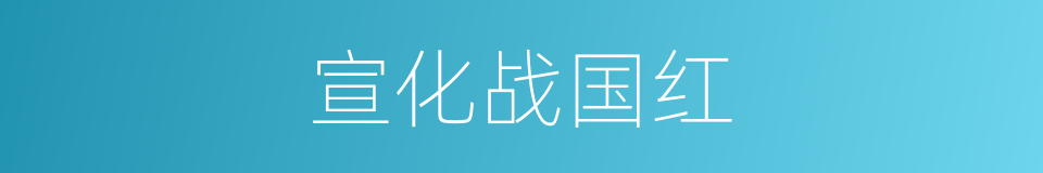 宣化战国红的同义词