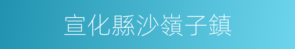 宣化縣沙嶺子鎮的同義詞