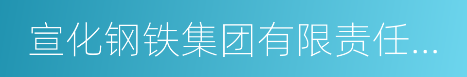 宣化钢铁集团有限责任公司的同义词