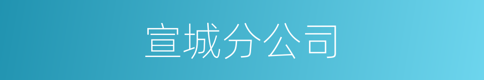 宣城分公司的同义词