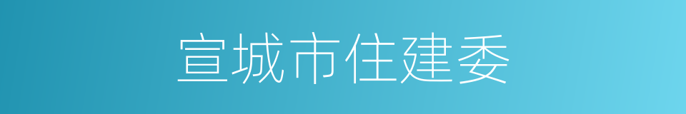 宣城市住建委的同义词