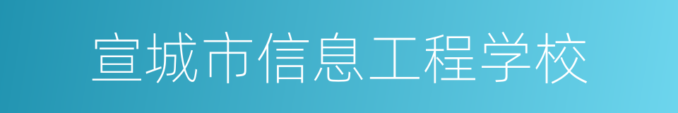 宣城市信息工程学校的同义词